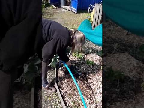 youtube placeholder image