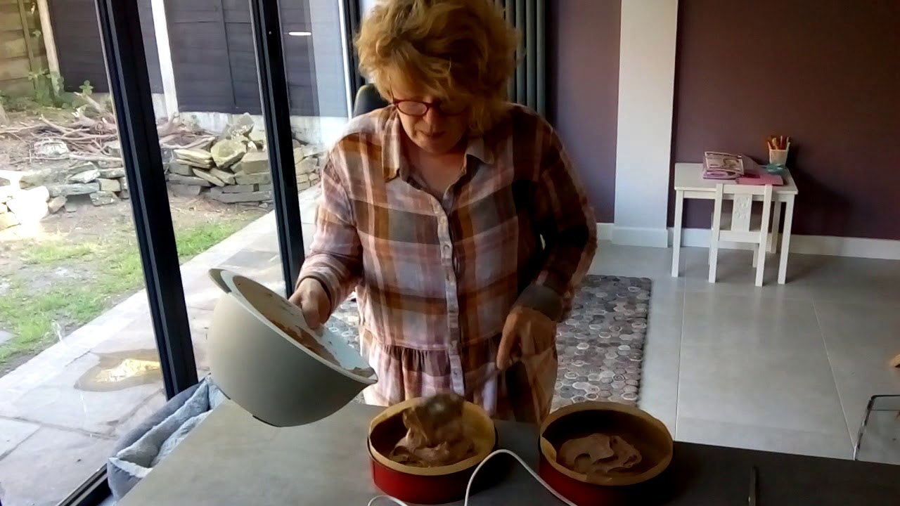 youtube placeholder image